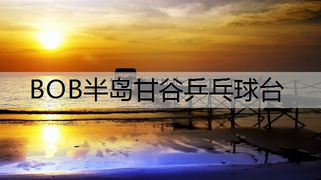 <strong>BOB半岛甘谷乒乓球台</strong>